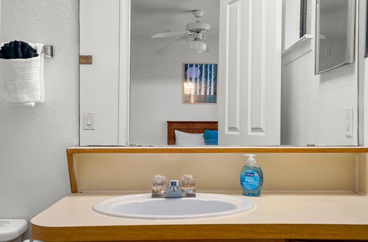 4Bd 2 Mi To Usf Free Pool + 24 Hour Gym Villa Tampa Dış mekan fotoğraf