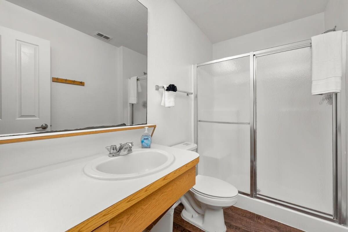 4Bd 2 Mi To Usf Free Pool + 24 Hour Gym Villa Tampa Dış mekan fotoğraf