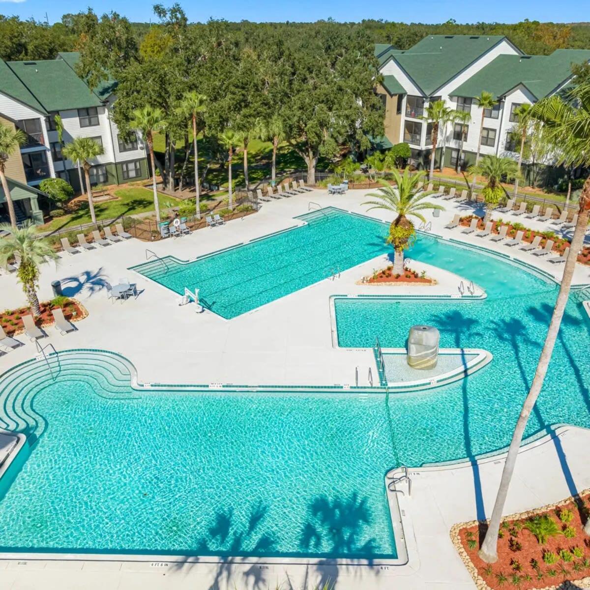 4Bd 2 Mi To Usf Free Pool + 24 Hour Gym Villa Tampa Dış mekan fotoğraf